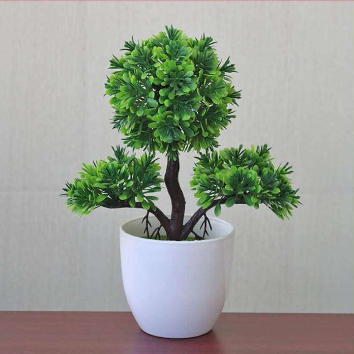 9 loại cây mang ý nghĩa phong thủy tốt nên trồng